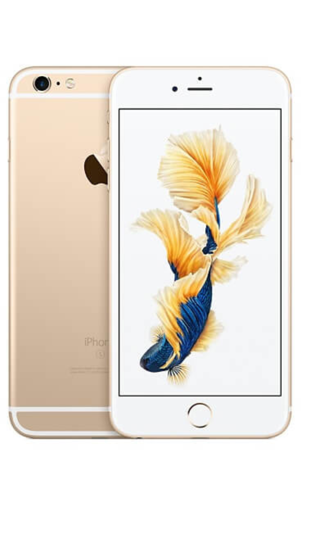 Apple iPhone 6 Plus – Price in Pakistan, Specs & Retro Review